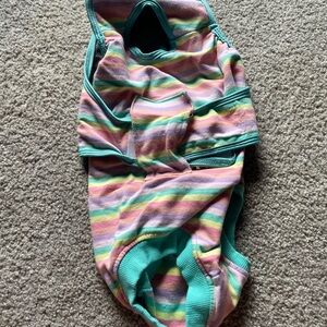 Dog recovery suit for surgery.